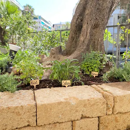 Ariston & Casino - Con Giardino E Garage דירה